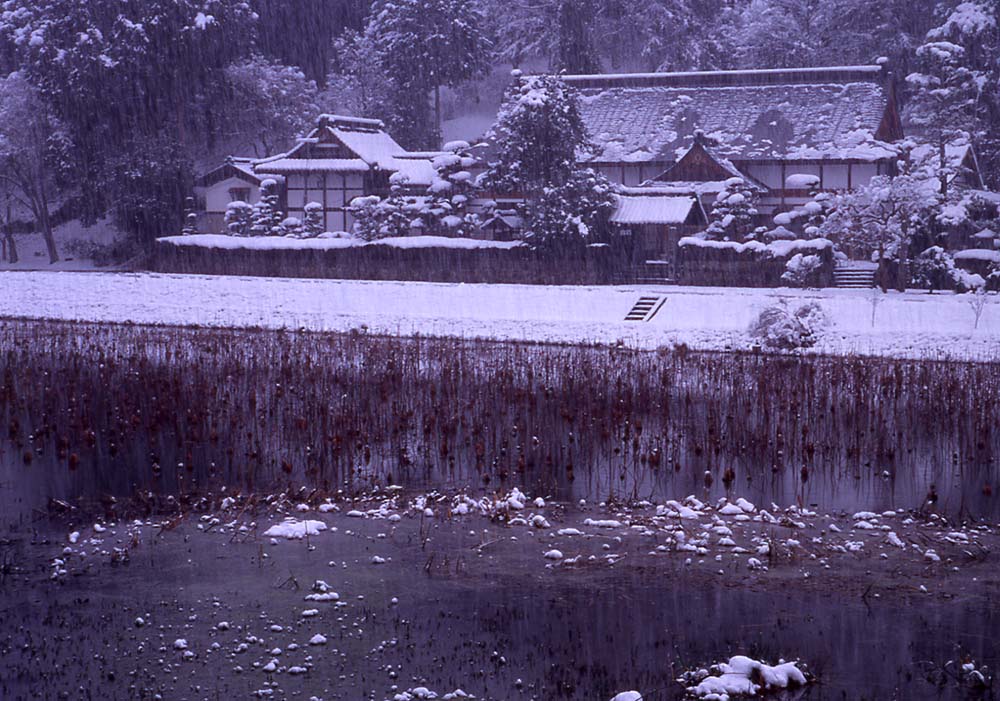 楞厳寺（関西花の寺）