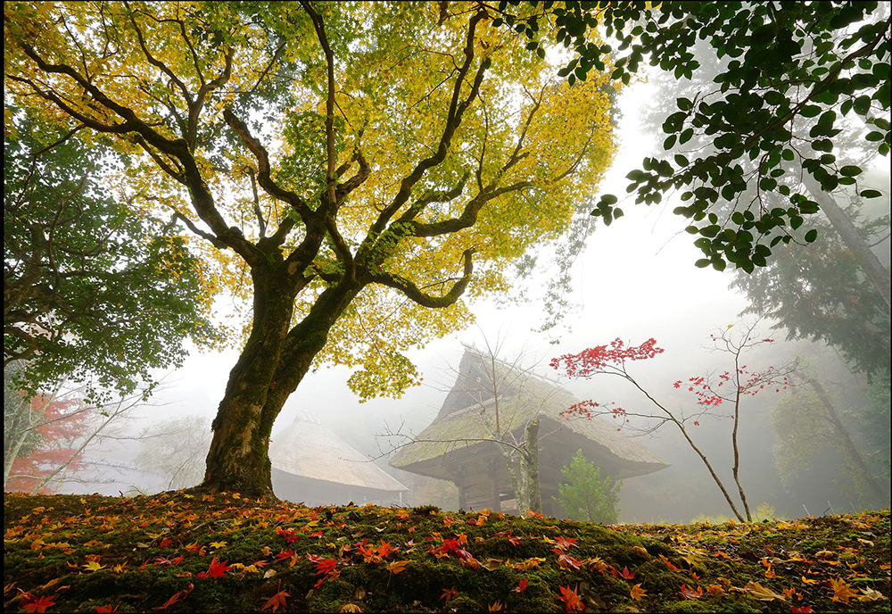 岩王寺（茅葺の寺）