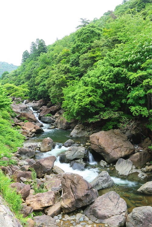 二瀬川渓流（丹後天橋立大江山国定公園内）