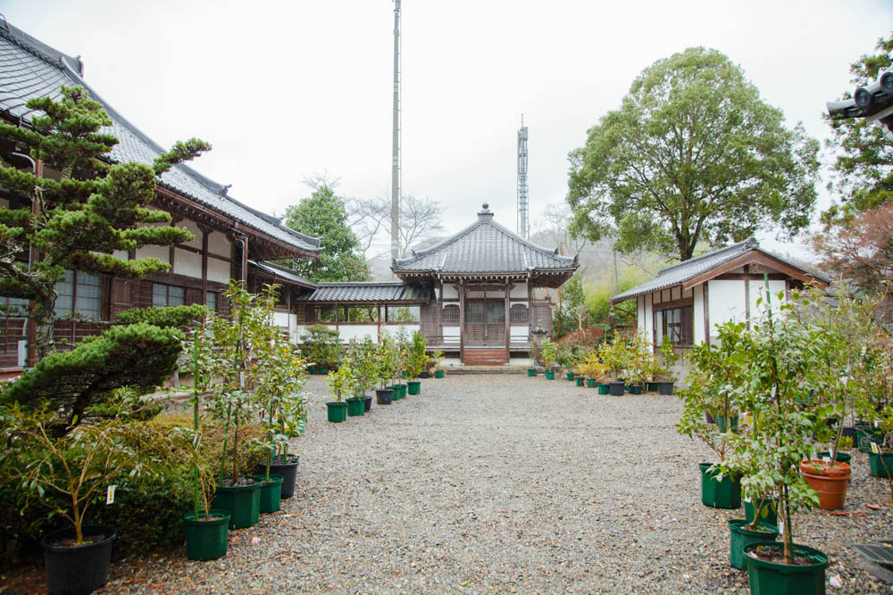 顕龍山興雲寺