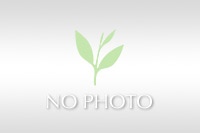 岩見重太郎　仇討ちの場