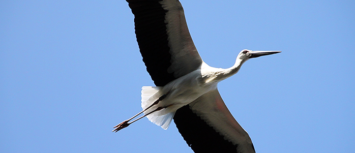ＪＲ城崎温泉駅周辺の観光写真