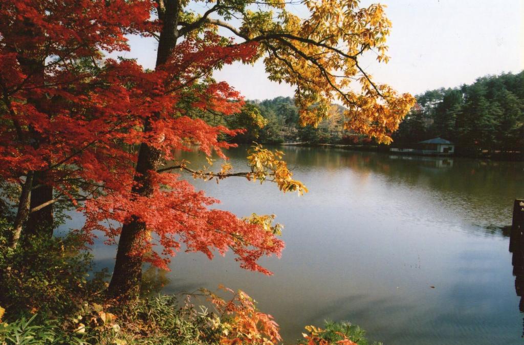 三段池公園紅葉